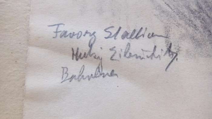 An original pencil sketch by international artist Hedwig Brecher Eibuschitz " horse study "