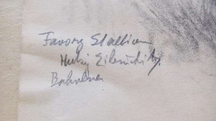 An original pencil sketch by international artist Hedwig Brecher Eibuschitz " horse study "