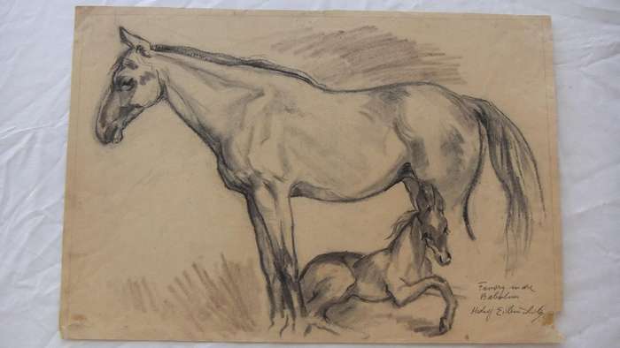 An original pencil sketch by international artist Hedwig Brecher Eibuschitz " horse study "