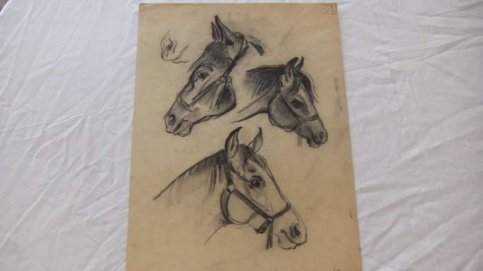 An original pencil sketch by international artist Hedwig Brecher Eibuschitz " horse study "