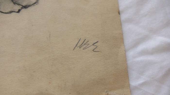 An original pencil sketch by international artist Hedwig Brecher Eibuschitz " horse study "