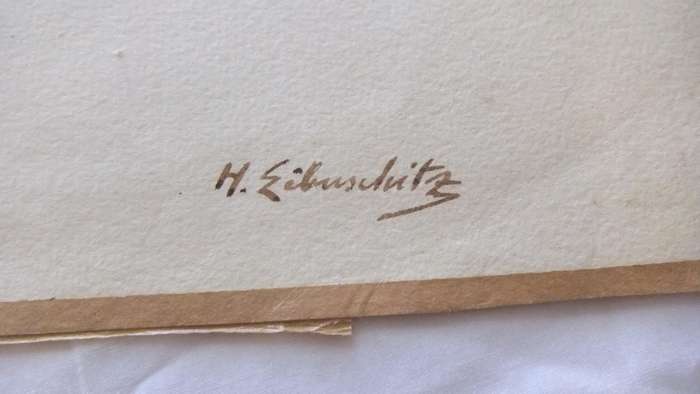 An original watercolour painting by international artist Hedwig Brecher Eibuschitz "horse study "