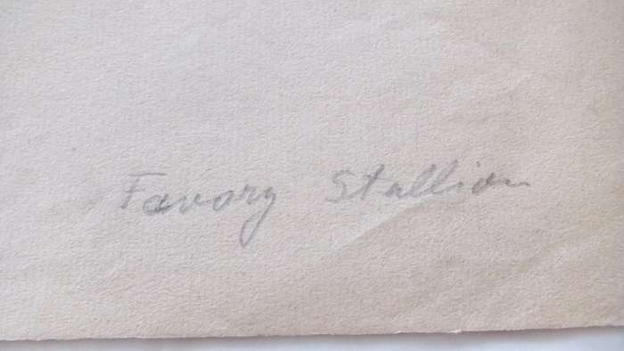 An original pencil sketch by international artist Hedwig Brecher Eibuschitz " horse study "