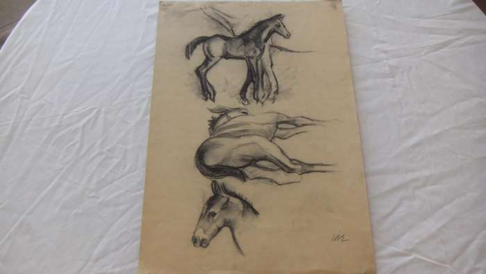 An original pencil sketch by international artist Hedwig Brecher Eibuschitz " horse study "