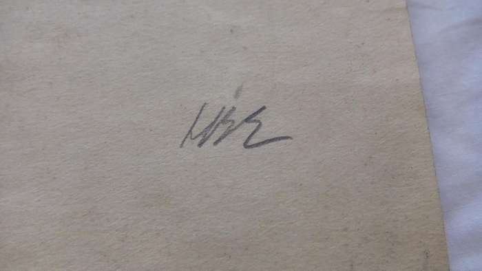An original pencil sketch by international artist Hedwig Brecher Eibuschitz " horse study "
