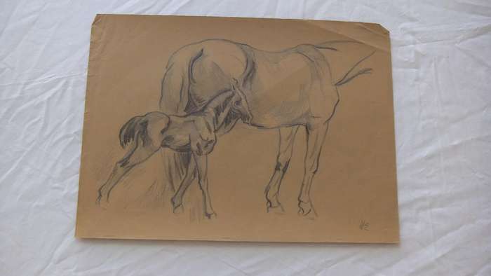 An original pencil sketch by international artist Hedwig Brecher Eibuschitz " horse study "