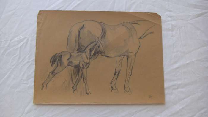 An original pencil sketch by international artist Hedwig Brecher Eibuschitz " horse study "