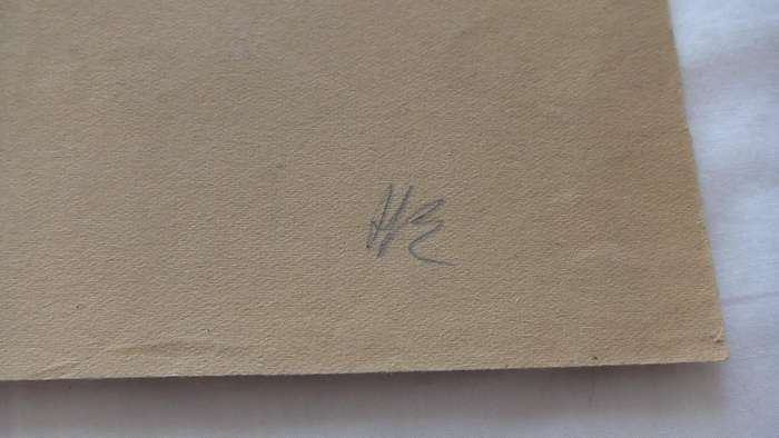 An original pencil sketch by international artist Hedwig Brecher Eibuschitz " horse study "
