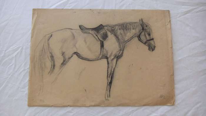 An original pencil sketch by international artist Hedwig Brecher Eibuschitz " horse study "