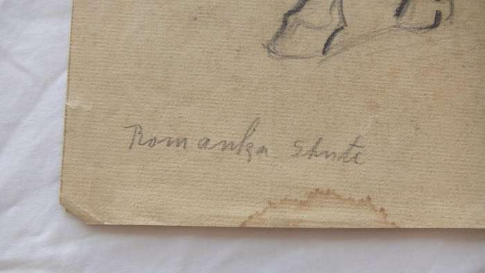An original pencil sketch by international artist Hedwig Brecher Eibuschitz " horse study "