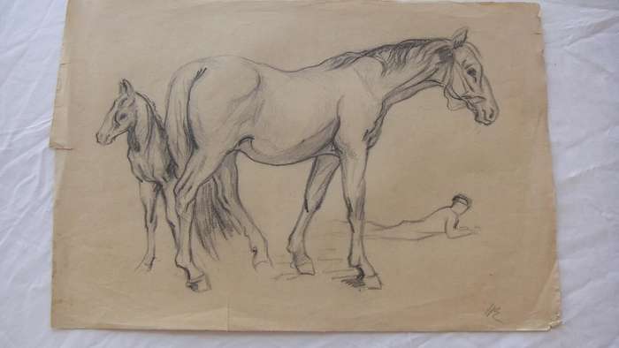 An original pencil sketch by international artist Hedwig Brecher Eibuschitz " horse study "