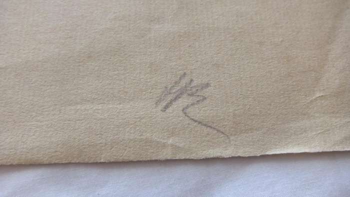An original pencil sketch by international artist Hedwig Brecher Eibuschitz " horse study "