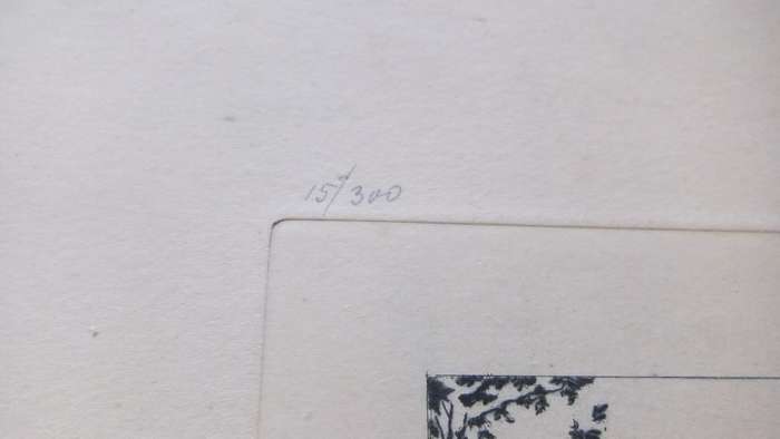 An original etching by international artist Hedwig Brecher Eibuschitz