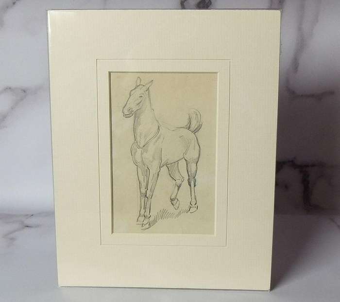 An original pencil sketch by international artist Hedwig Brecher Eibuschitz " horse study "