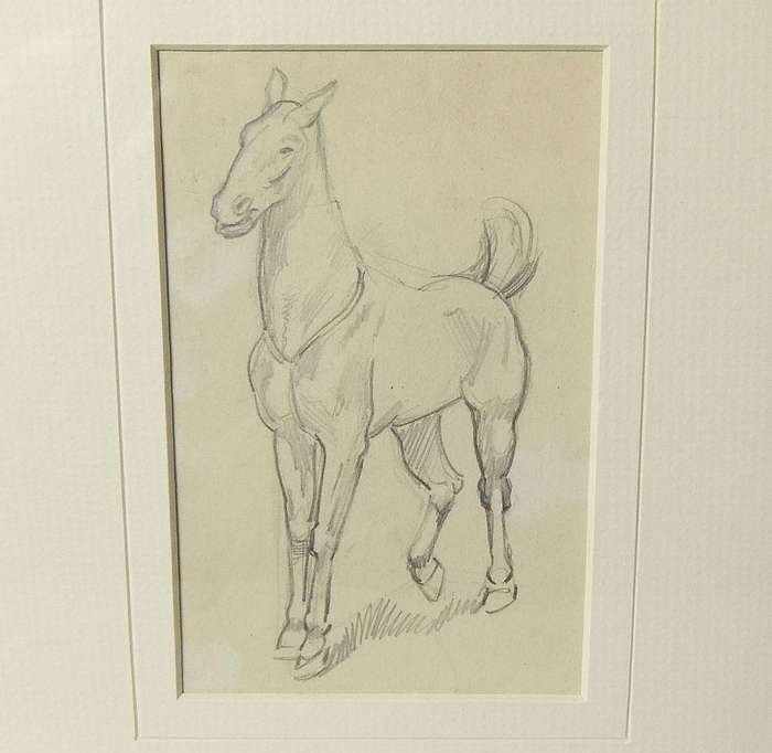 An original pencil sketch by international artist Hedwig Brecher Eibuschitz " horse study "