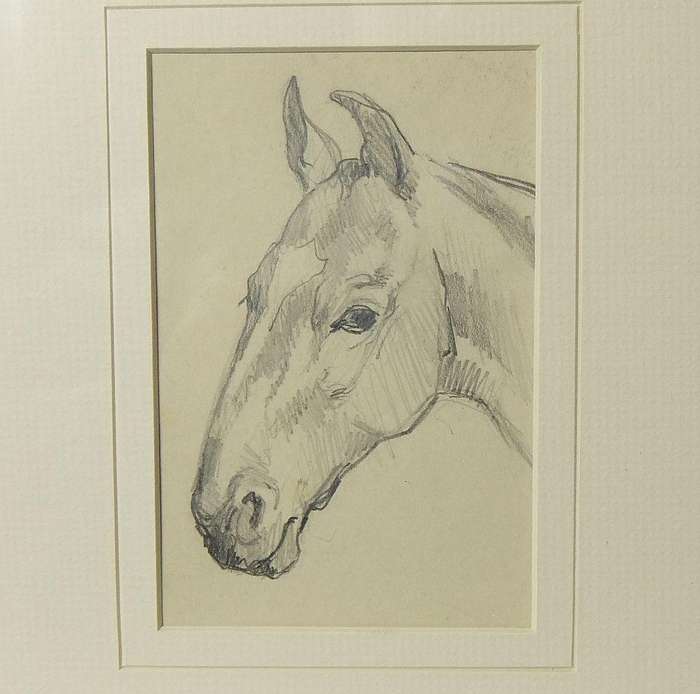 An original pencil sketch by international artist Hedwig Brecher Eibuschitz " horse study "