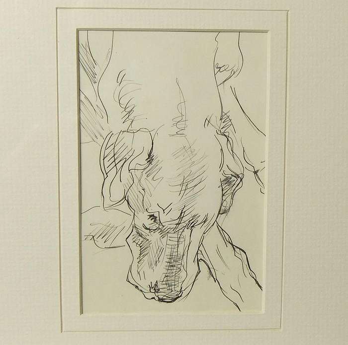An original pencil sketch by international artist Hedwig Brecher Eibuschitz " dog study "