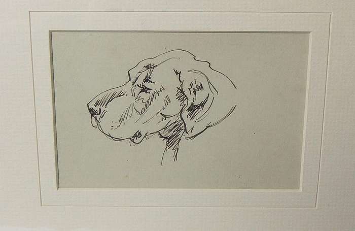 An original ink sketch by international artist Hedwig Brecher Eibuschitz " dog study "