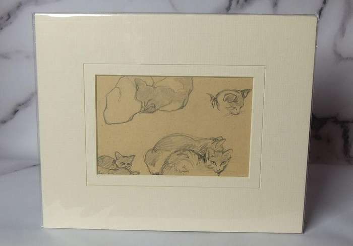 An original pencil sketch by international artist Hedwig Brecher Eibuschitz " cat study "