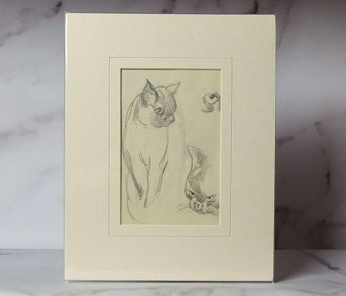 An original pencil sketch by international artist Hedwig Brecher Eibuschitz " cat study "