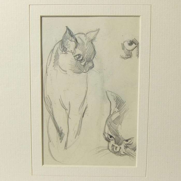 An original pencil sketch by international artist Hedwig Brecher Eibuschitz " cat study "