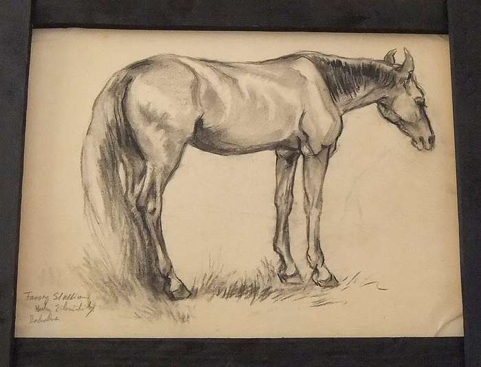An original pencil sketch by international artist Hedwig Brecher Eibuschitz " horse study "