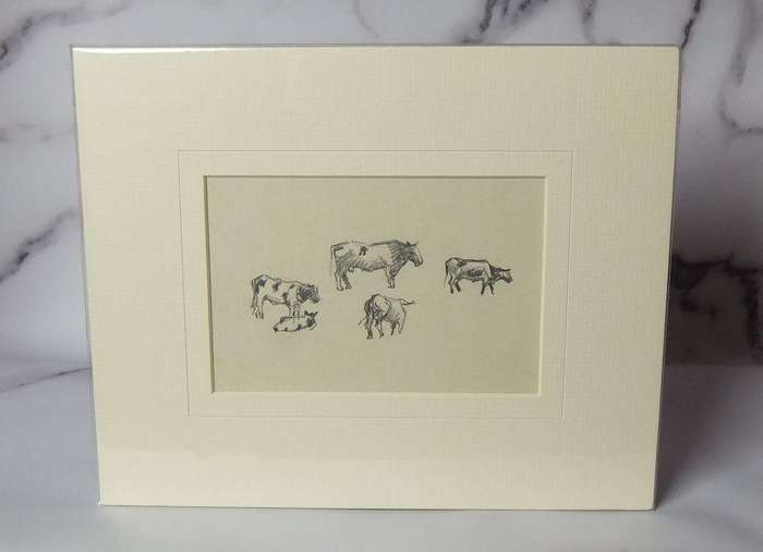 An original pencil sketch by international artist Hedwig Brecher Eibuschitz " cow study "