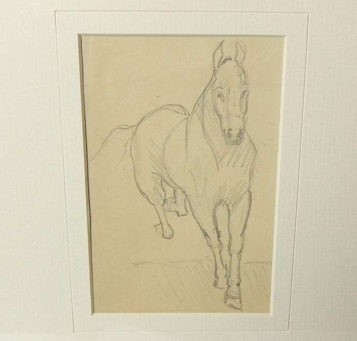 An original pencil sketch by international artist Hedwig Brecher Eibuschitz " horse study "