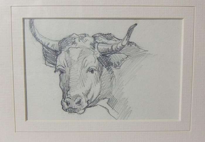 An original pencil sketch by international artist Hedwig Brecher Eibuschitz " bull study "