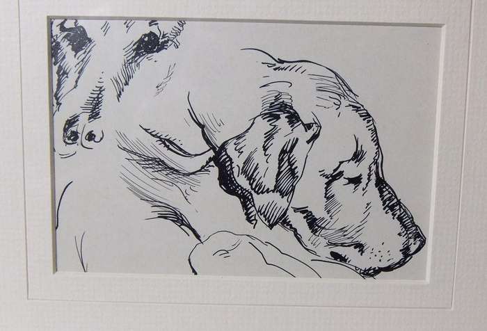An original ink sketch by international artist Hedwig Brecher Eibuschitz " dog study "