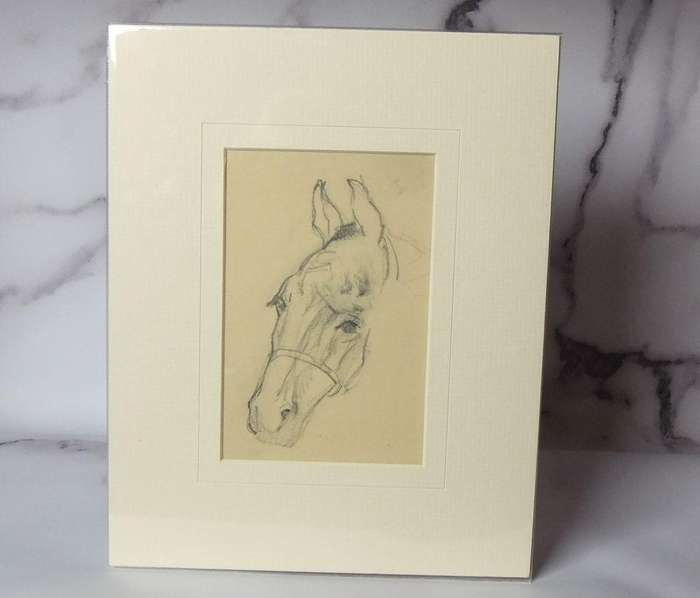 An original pencil sketch by international artist Hedwig Brecher Eibuschitz " horse study "