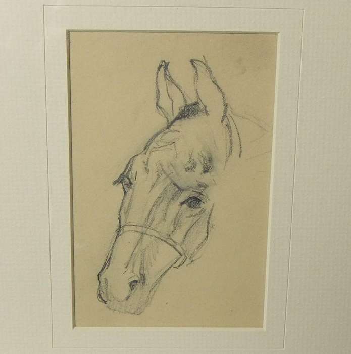 An original pencil sketch by international artist Hedwig Brecher Eibuschitz " horse study "