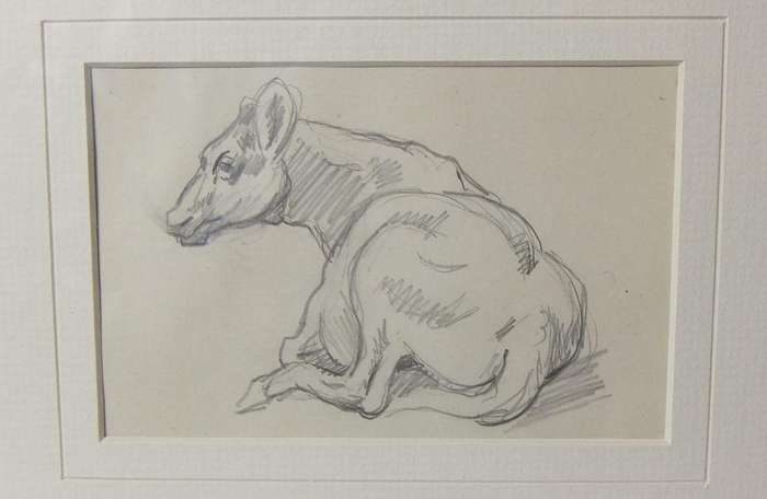 An original pencil sketch by international artist Hedwig Brecher Eibuschitz " cow study "