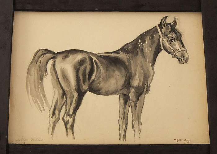 An original watercolour painting by international artist Hedwig Brecher Eibuschitz "horse study "