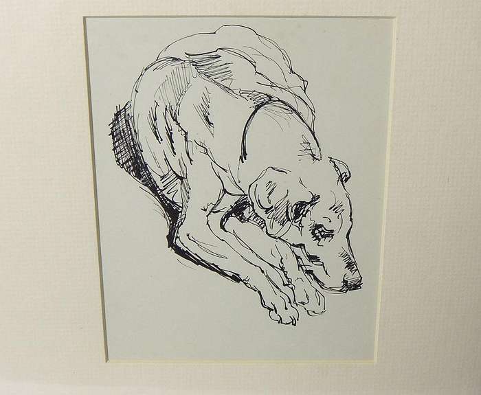 An original ink sketch by international artist Hedwig Brecher Eibuschitz " dog study "