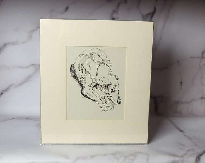 An original ink sketch by international artist Hedwig Brecher Eibuschitz " dog study "