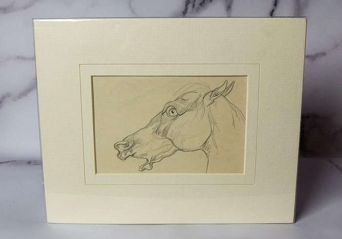 An original pencil sketch by international artist Hedwig Brecher Eibuschitz " horse study "