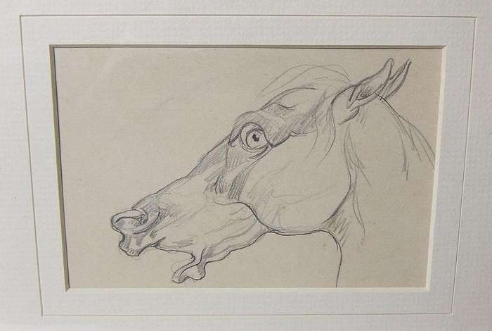 An original pencil sketch by international artist Hedwig Brecher Eibuschitz " horse study "