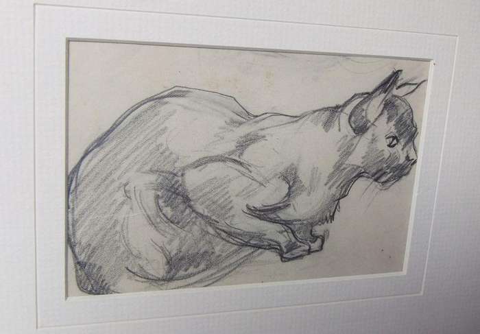An original pencil sketch by international artist Hedwig Brecher Eibuschitz " cat study "