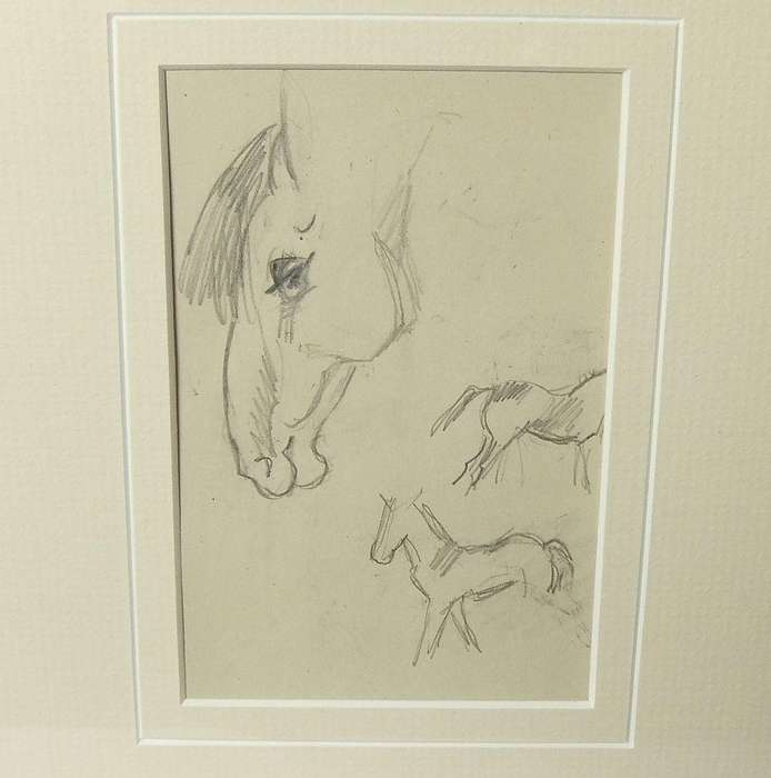 An original pencil sketch by international artist Hedwig Brecher Eibuschitz " horse study "