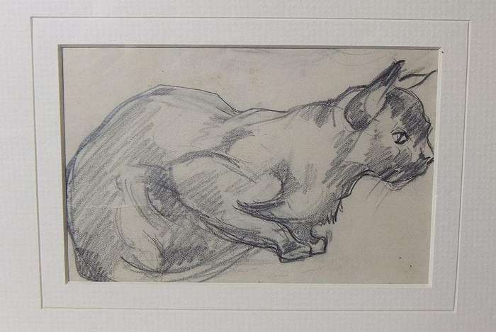 An original pencil sketch by international artist Hedwig Brecher Eibuschitz " cat study "