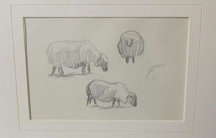 An original pencil sketch by international artist Hedwig Brecher Eibuschitz " animal study "