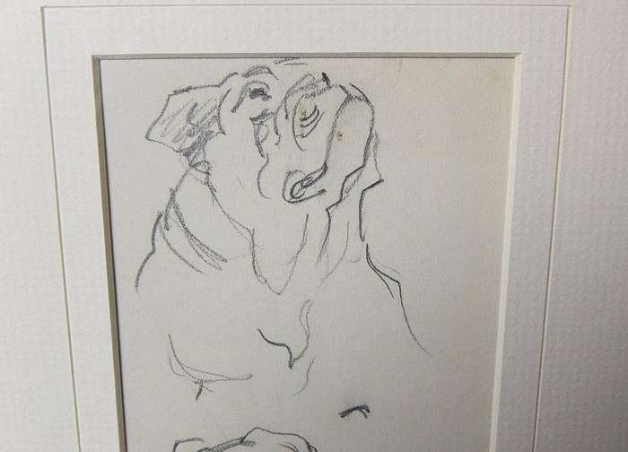 An original pencil sketch by international artist Hedwig Brecher Eibuschitz " Bulldog study "