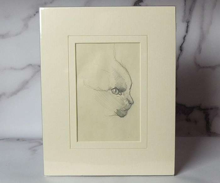 An original pencil sketch by international artist Hedwig Brecher Eibuschitz " cat study "