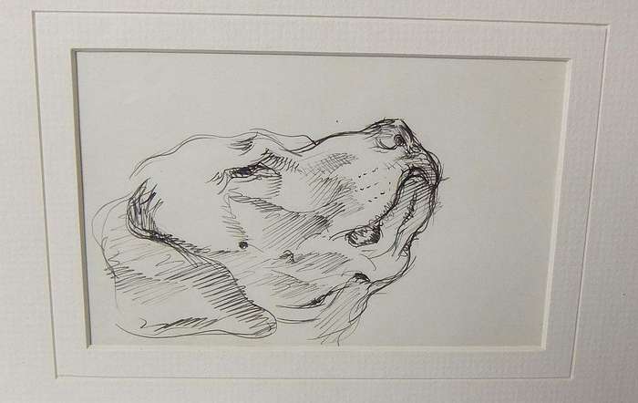An original ink sketch by international artist Hedwig Brecher Eibuschitz " dog study "