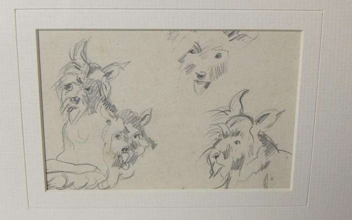 An original pencil sketch by international artist Hedwig Brecher Eibuschitz " dog study "