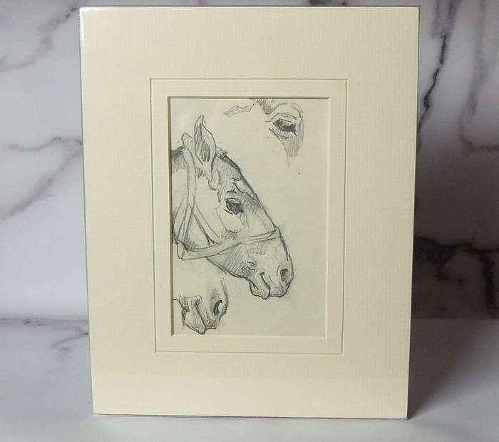 An original pencil sketch by international artist Hedwig Brecher Eibuschitz " horse study "