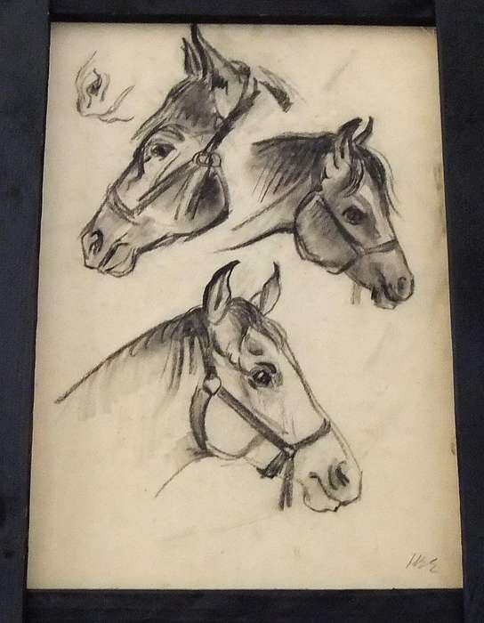 An original pencil sketch by international artist Hedwig Brecher Eibuschitz " horse study "
