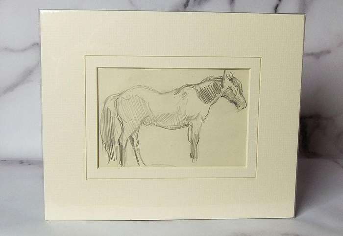An original pencil sketch by international artist Hedwig Brecher Eibuschitz " horse study "