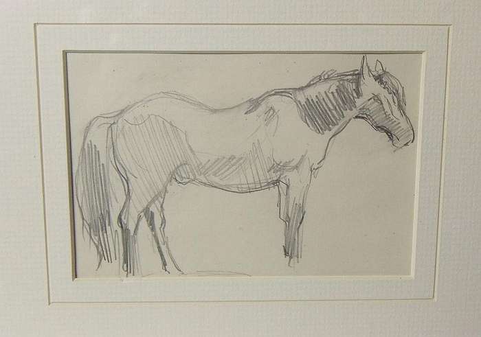 An original pencil sketch by international artist Hedwig Brecher Eibuschitz " horse study "